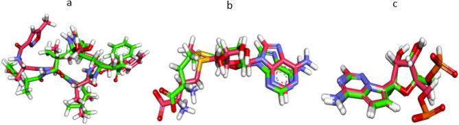 https://cdn.ncbi.nlm.nih.gov/pmc/blobs/2c7b/8991244/685a35421d15/41598_2022_9809_Fig2_HTML.jpg