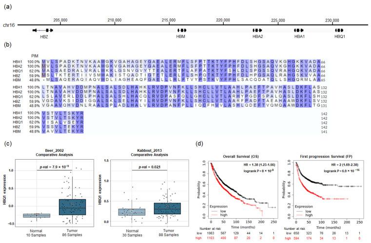 https://cdn.ncbi.nlm.nih.gov/pmc/blobs/2c7d/10705095/271ce57fe333/cancers-15-05504-g001.jpg
