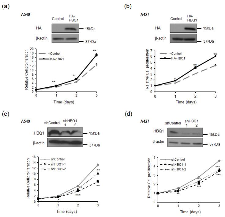 https://cdn.ncbi.nlm.nih.gov/pmc/blobs/2c7d/10705095/d2cc8ec75e26/cancers-15-05504-g002.jpg