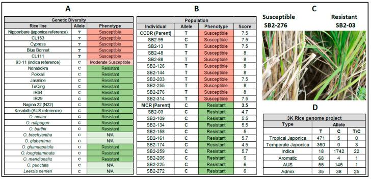 https://cdn.ncbi.nlm.nih.gov/pmc/blobs/2c7f/10530950/013fc41ef780/genes-14-01673-g003.jpg