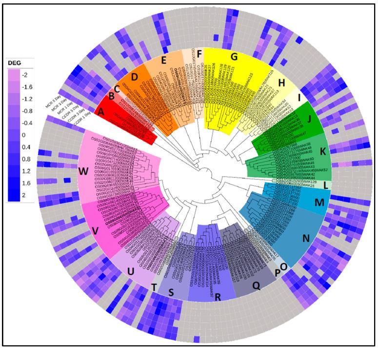 https://cdn.ncbi.nlm.nih.gov/pmc/blobs/2c7f/10530950/cddae5014d54/genes-14-01673-g004.jpg
