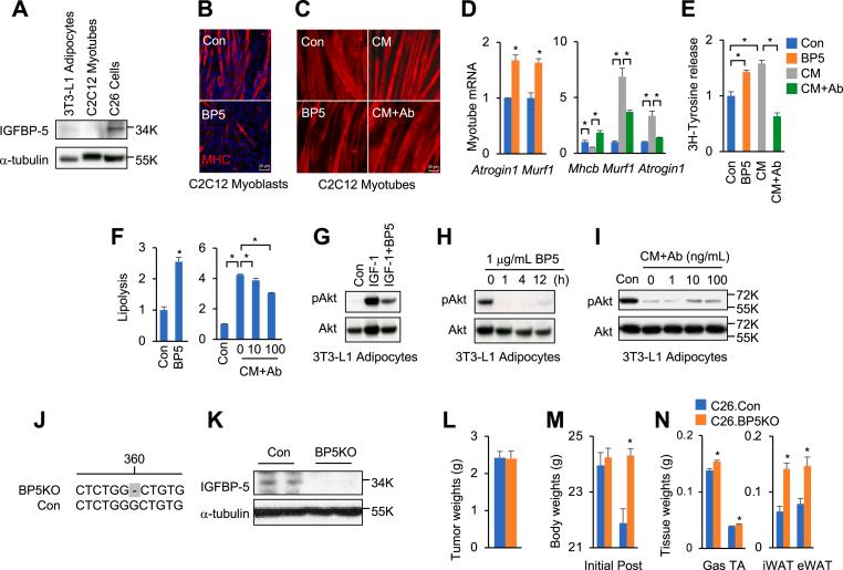 https://cdn.ncbi.nlm.nih.gov/pmc/blobs/2c80/12056967/766e1e2dc4f8/gr4.jpg