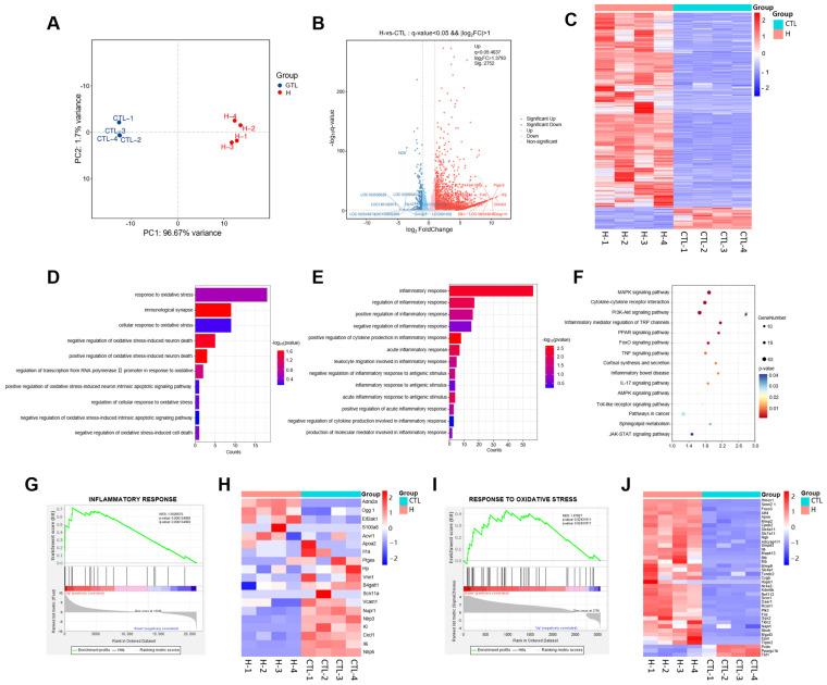 https://cdn.ncbi.nlm.nih.gov/pmc/blobs/2c80/12294627/4fffad407455/ijms-26-06606-g004.jpg
