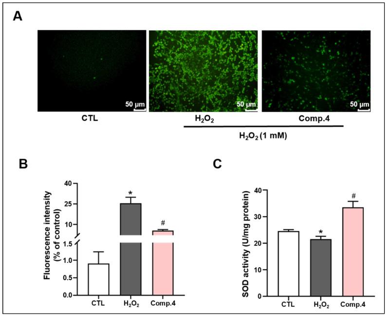 https://cdn.ncbi.nlm.nih.gov/pmc/blobs/2c80/12294627/a76db3fcbdef/ijms-26-06606-g003.jpg