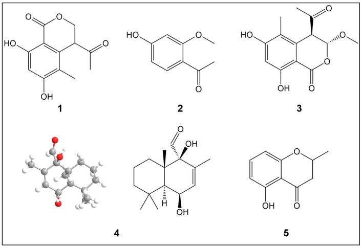 https://cdn.ncbi.nlm.nih.gov/pmc/blobs/2c80/12294627/d153f00003f4/ijms-26-06606-g001.jpg