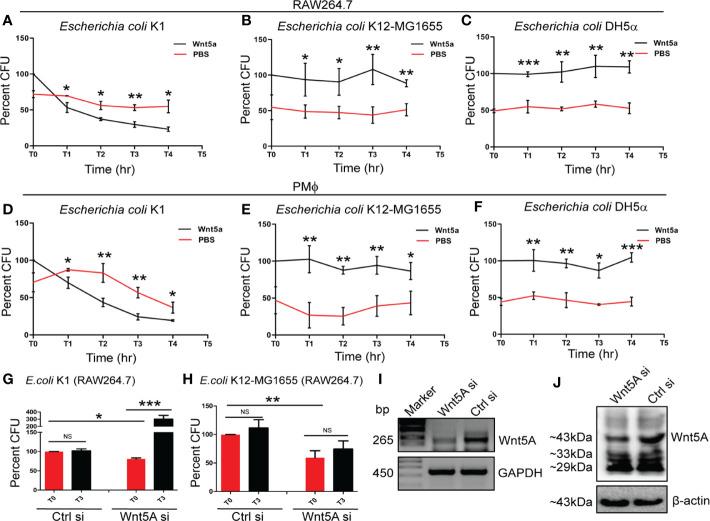 https://cdn.ncbi.nlm.nih.gov/pmc/blobs/2c80/7921742/04e318de41f0/fimmu-11-628191-g001.jpg