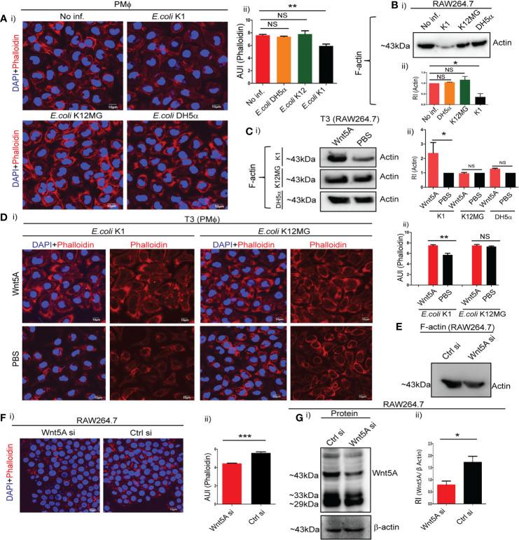 https://cdn.ncbi.nlm.nih.gov/pmc/blobs/2c80/7921742/cbf3b9f968d2/fimmu-11-628191-g002.jpg
