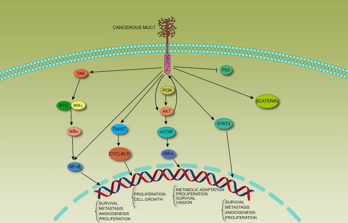 https://cdn.ncbi.nlm.nih.gov/pmc/blobs/2c80/8897942/aab268cd4653/12935_2022_2523_Fig1_HTML.jpg