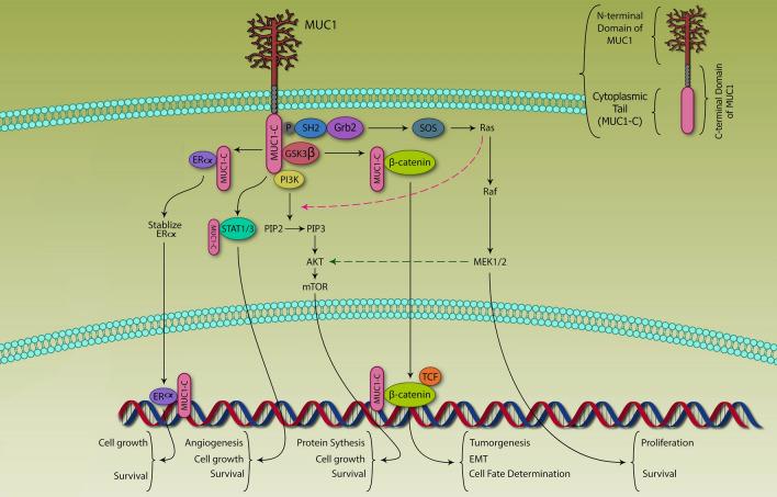 https://cdn.ncbi.nlm.nih.gov/pmc/blobs/2c80/8897942/b877ff6252ac/12935_2022_2523_Fig2_HTML.jpg