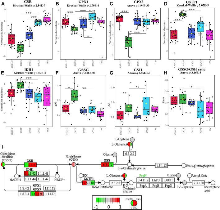 https://cdn.ncbi.nlm.nih.gov/pmc/blobs/2c81/10882078/5397d0830b4c/fmolb-11-1229648-g003.jpg
