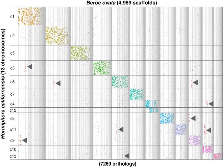 https://cdn.ncbi.nlm.nih.gov/pmc/blobs/2c82/11184263/975f68630585/lqae072fig2.jpg