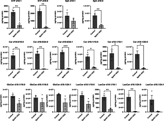 https://cdn.ncbi.nlm.nih.gov/pmc/blobs/2c82/11582158/5009ca362b29/424_2024_3027_Fig7_HTML.jpg