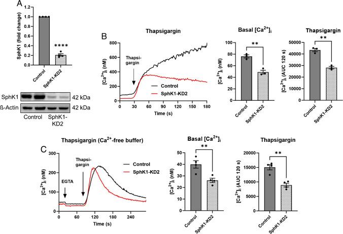 https://cdn.ncbi.nlm.nih.gov/pmc/blobs/2c82/11582158/5c69b3725872/424_2024_3027_Fig2_HTML.jpg