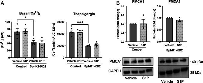 https://cdn.ncbi.nlm.nih.gov/pmc/blobs/2c82/11582158/938bb652638a/424_2024_3027_Fig5_HTML.jpg