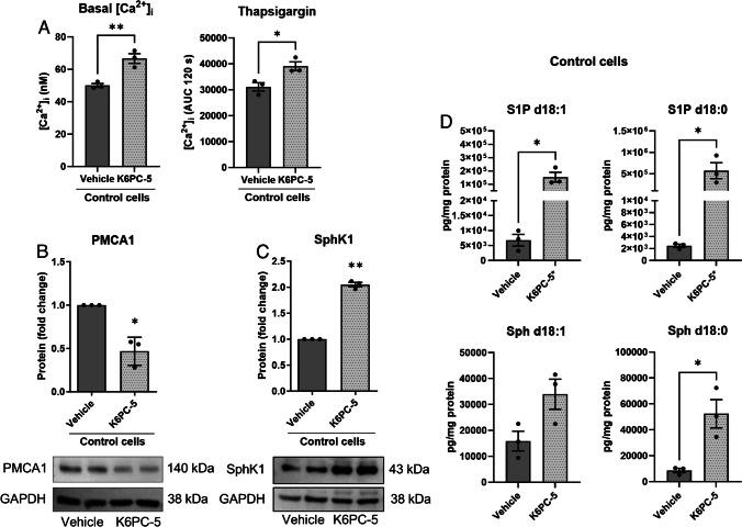 https://cdn.ncbi.nlm.nih.gov/pmc/blobs/2c82/11582158/a3590365bf34/424_2024_3027_Fig9_HTML.jpg