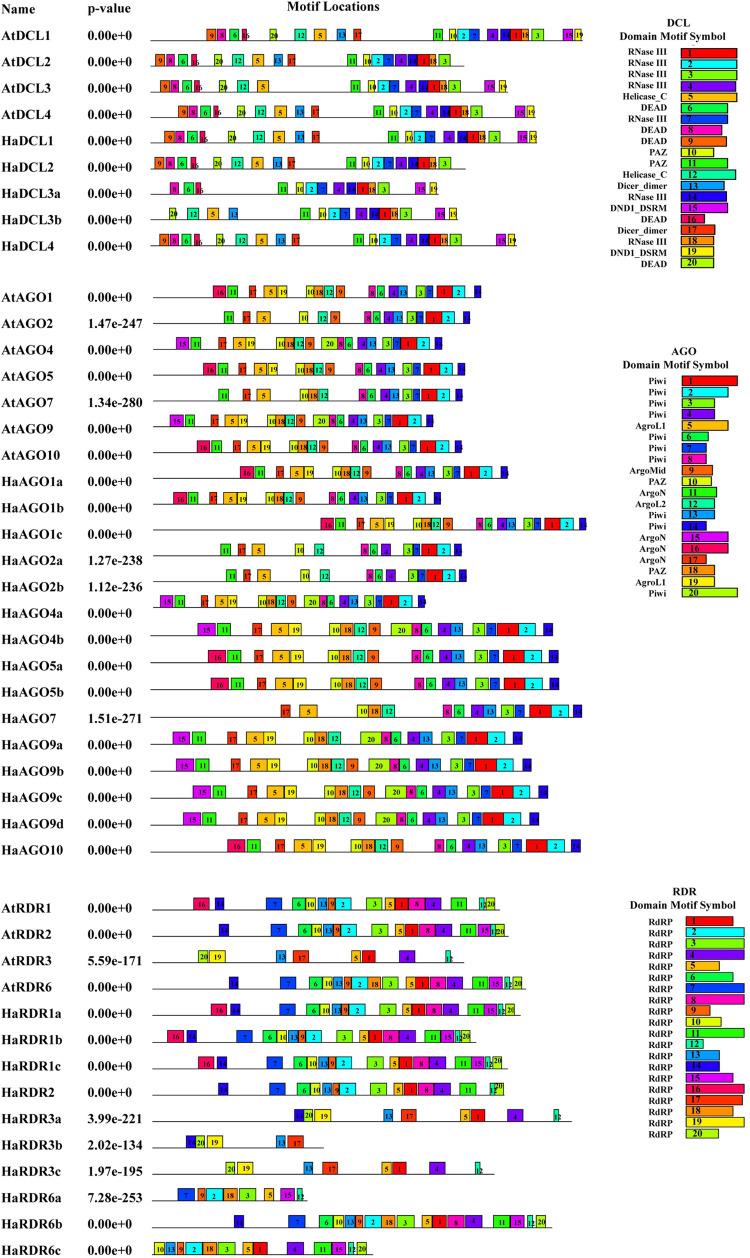 https://cdn.ncbi.nlm.nih.gov/pmc/blobs/2c83/10256174/fd462cfbffb6/pone.0286994.g004.jpg