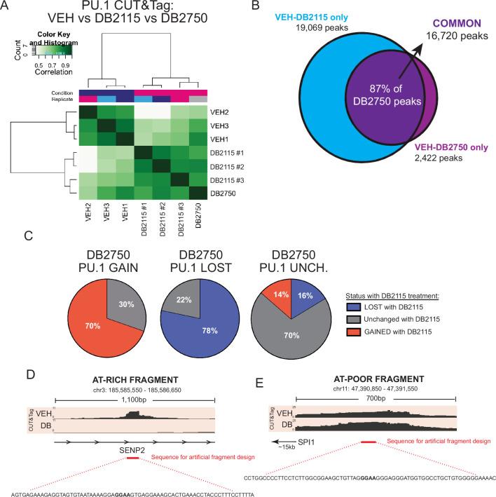 https://cdn.ncbi.nlm.nih.gov/pmc/blobs/2c87/11525197/fe35801500d4/41588_2024_1911_Fig13_ESM.jpg