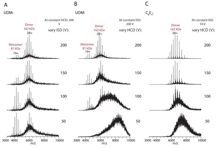 https://cdn.ncbi.nlm.nih.gov/pmc/blobs/2c87/6959990/3a0ba3895a38/elife-51492-fig1-figsupp1.jpg
