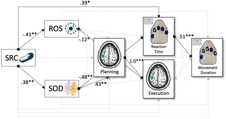 https://cdn.ncbi.nlm.nih.gov/pmc/blobs/2c89/8639326/1fcf135c9d5d/pnas.202104569fig04.jpg