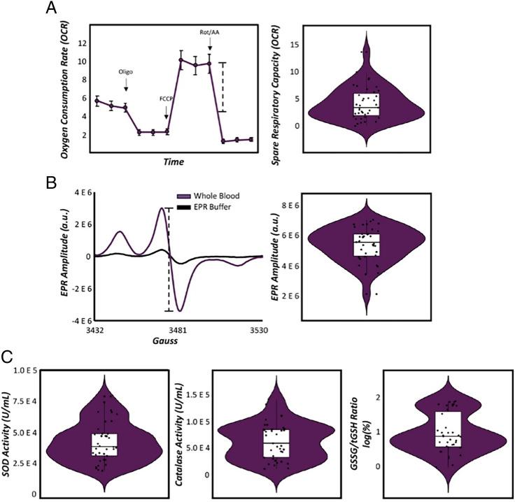https://cdn.ncbi.nlm.nih.gov/pmc/blobs/2c89/8639326/451c9114bdd1/pnas.202104569fig03.jpg