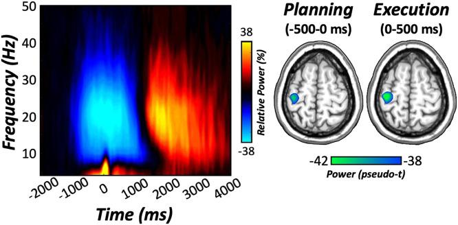 https://cdn.ncbi.nlm.nih.gov/pmc/blobs/2c89/8639326/e59e870e5dc9/pnas.202104569fig02.jpg