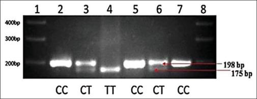 https://cdn.ncbi.nlm.nih.gov/pmc/blobs/2c8c/12380132/91fa124a8768/AAM-24-579-g002.jpg