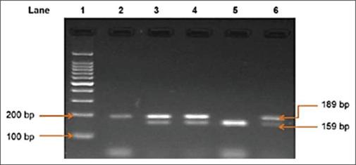 https://cdn.ncbi.nlm.nih.gov/pmc/blobs/2c8c/12380132/9340c4917266/AAM-24-579-g001.jpg