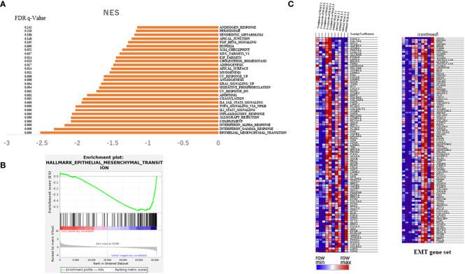 https://cdn.ncbi.nlm.nih.gov/pmc/blobs/2c8f/10845137/3e2167ae0d24/fonc-14-1277749-g002.jpg