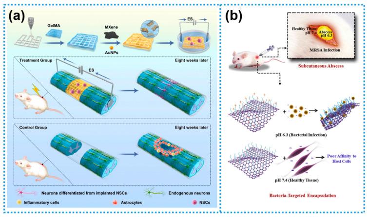 https://cdn.ncbi.nlm.nih.gov/pmc/blobs/2c8f/12110365/1d5cc99d2af0/biosensors-15-00328-g004.jpg