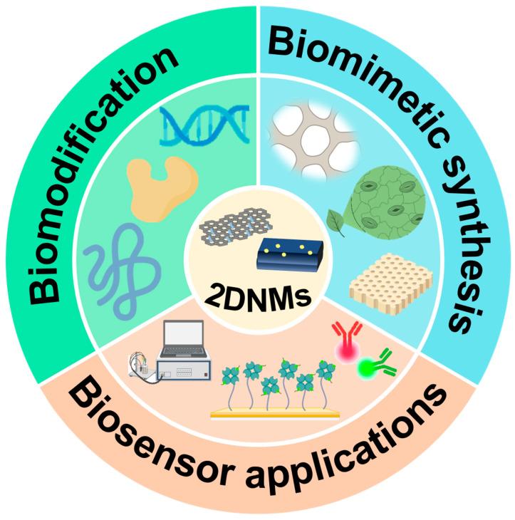 https://cdn.ncbi.nlm.nih.gov/pmc/blobs/2c8f/12110365/7ccc201ed3d0/biosensors-15-00328-sch001.jpg