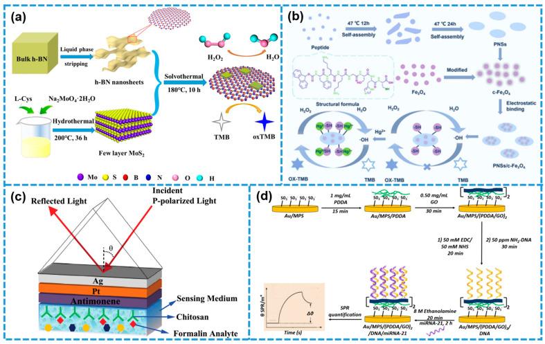 https://cdn.ncbi.nlm.nih.gov/pmc/blobs/2c8f/12110365/951d29314926/biosensors-15-00328-g010.jpg