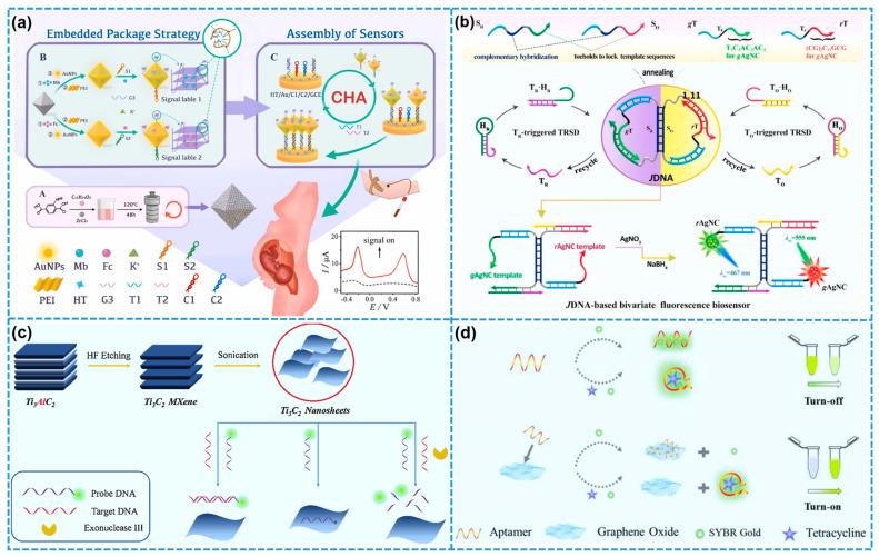 https://cdn.ncbi.nlm.nih.gov/pmc/blobs/2c8f/12110365/c9df5eb8434e/biosensors-15-00328-g011.jpg