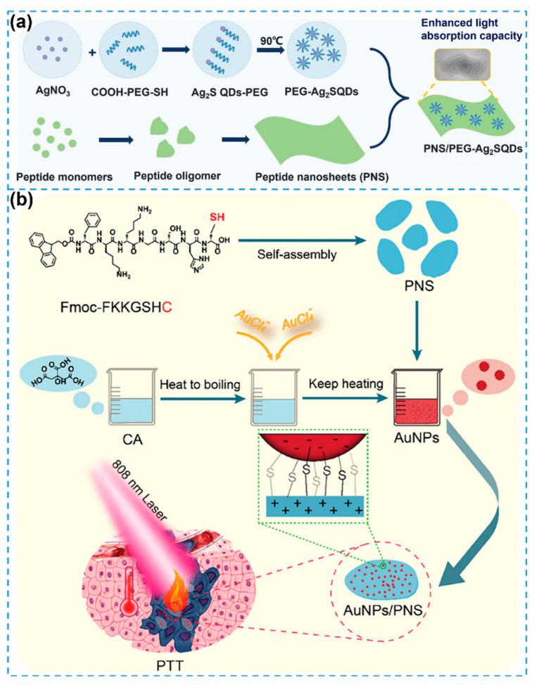 https://cdn.ncbi.nlm.nih.gov/pmc/blobs/2c8f/12110365/ed9847b2ce3e/biosensors-15-00328-g007.jpg
