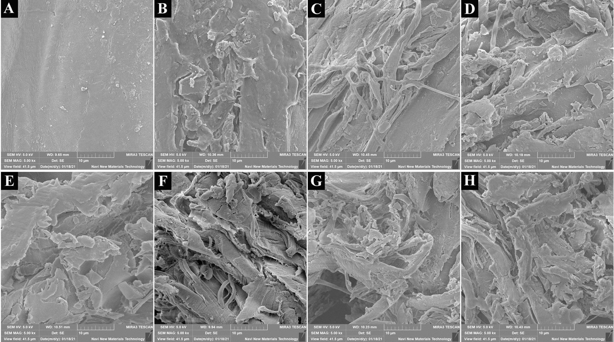 https://cdn.ncbi.nlm.nih.gov/pmc/blobs/2c8f/8199694/4312ac58d8b3/13068_2021_1986_Fig5_HTML.jpg
