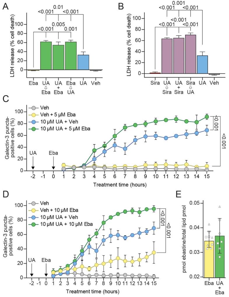 https://cdn.ncbi.nlm.nih.gov/pmc/blobs/2c8f/9776894/80fe22c25d40/cells-11-04079-g006.jpg