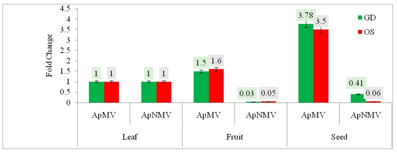 https://cdn.ncbi.nlm.nih.gov/pmc/blobs/2c91/10059951/869f725a2f12/viruses-15-00795-g006.jpg