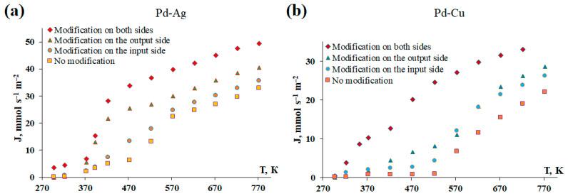 https://cdn.ncbi.nlm.nih.gov/pmc/blobs/2c92/11641580/e50cb9a82e50/ijms-25-12564-g007.jpg