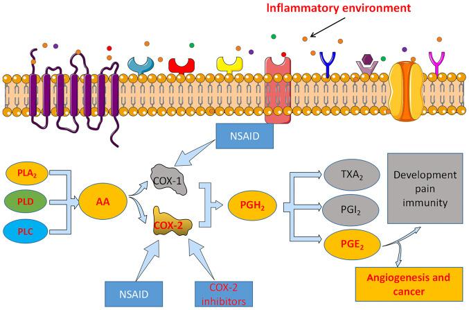 https://cdn.ncbi.nlm.nih.gov/pmc/blobs/2c93/7974460/10853e9403e0/mmr-23-05-11986-g00.jpg