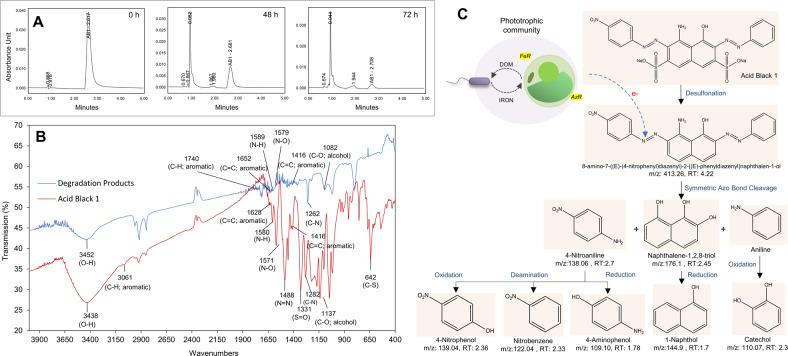 https://cdn.ncbi.nlm.nih.gov/pmc/blobs/2c93/9723796/03d773e207b9/43705_2022_161_Fig6_HTML.jpg