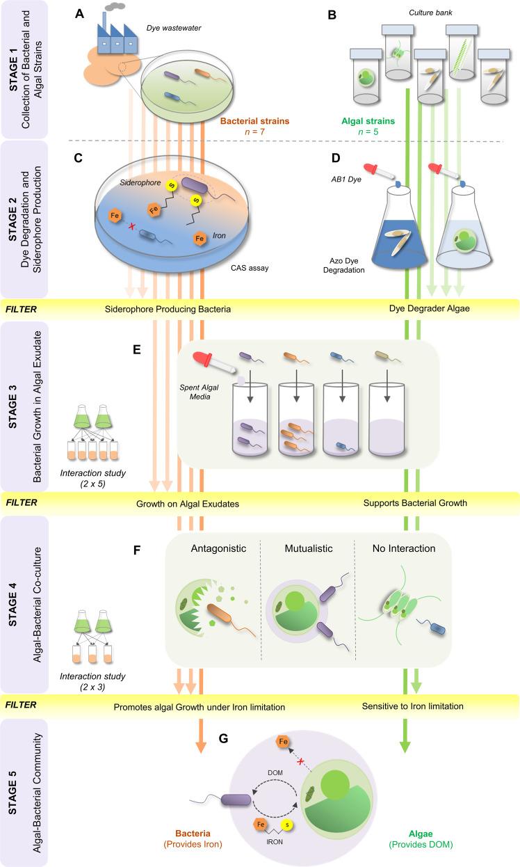 https://cdn.ncbi.nlm.nih.gov/pmc/blobs/2c93/9723796/ddf48f68e2b1/43705_2022_161_Fig1_HTML.jpg