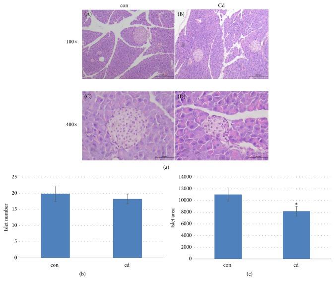 https://cdn.ncbi.nlm.nih.gov/pmc/blobs/2c95/6610724/c98be94e6df7/JT2019-8121834.005.jpg