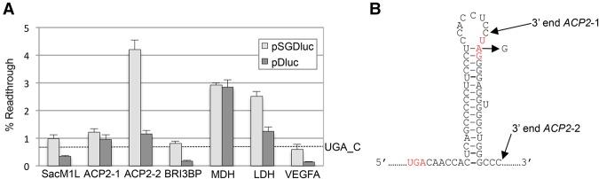 https://cdn.ncbi.nlm.nih.gov/pmc/blobs/2c97/5513072/e7fcb77ffb35/1285f04.jpg