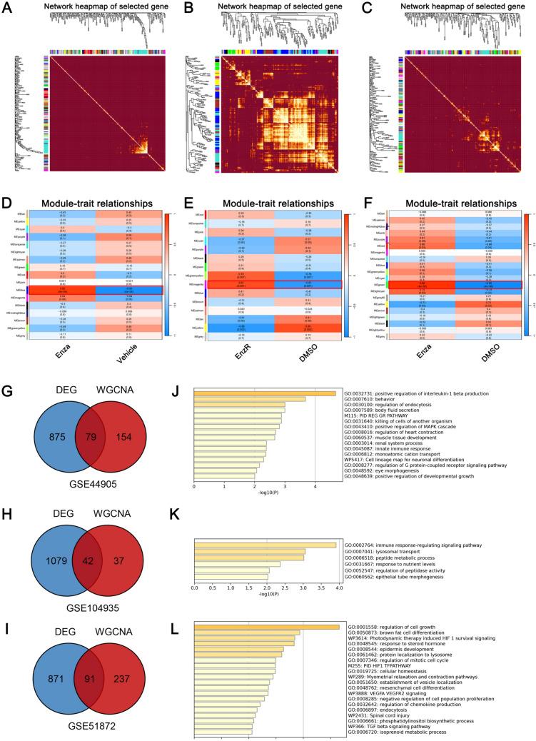 https://cdn.ncbi.nlm.nih.gov/pmc/blobs/2c99/11340159/cc2f33040733/40001_2024_2021_Fig2_HTML.jpg