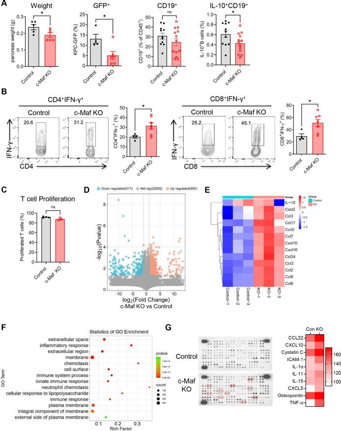 https://cdn.ncbi.nlm.nih.gov/pmc/blobs/2c99/11603694/71c30164b120/jitc-12-11-g003.jpg