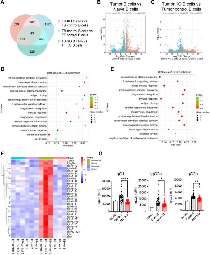 https://cdn.ncbi.nlm.nih.gov/pmc/blobs/2c99/11603694/cd6469c3bffe/jitc-12-11-g005.jpg