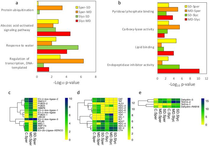 https://cdn.ncbi.nlm.nih.gov/pmc/blobs/2c9b/8342453/053794b2ad32/41598_2021_95622_Fig3_HTML.jpg