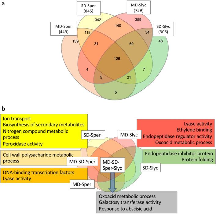 https://cdn.ncbi.nlm.nih.gov/pmc/blobs/2c9b/8342453/16a7bb8b65ab/41598_2021_95622_Fig5_HTML.jpg