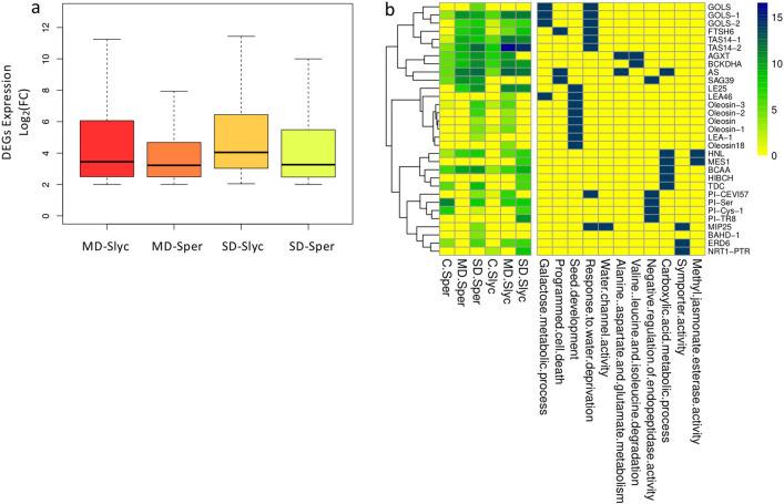 https://cdn.ncbi.nlm.nih.gov/pmc/blobs/2c9b/8342453/259e03a30c86/41598_2021_95622_Fig7_HTML.jpg