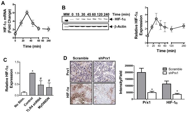 https://cdn.ncbi.nlm.nih.gov/pmc/blobs/2c9c/3503895/c55b0e52832e/pone.0050394.g005.jpg