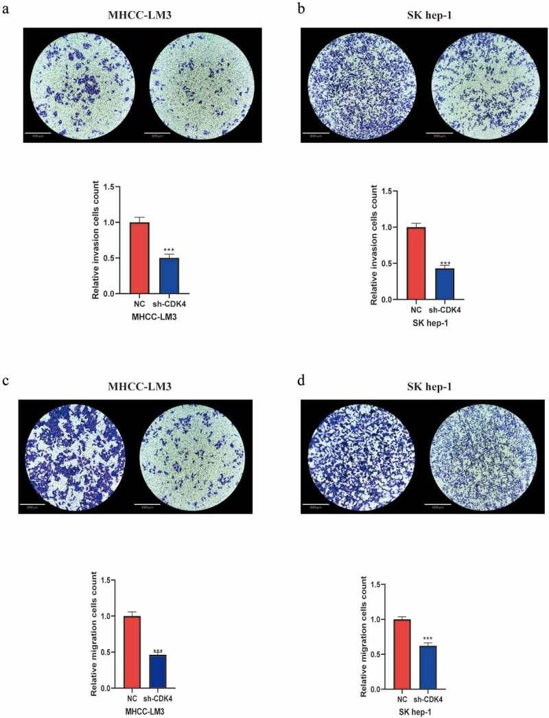 https://cdn.ncbi.nlm.nih.gov/pmc/blobs/2c9d/8810199/206aaefecb4b/KBIE_A_2006942_F0005_OC.jpg